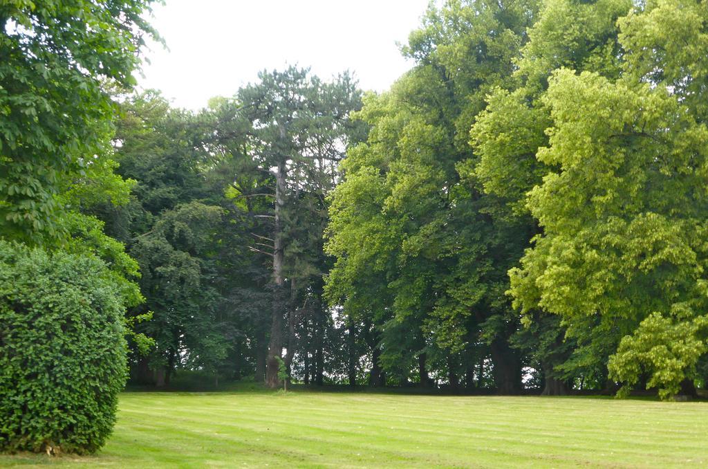 Maison d'hôtes Le Château de Puxe Extérieur photo