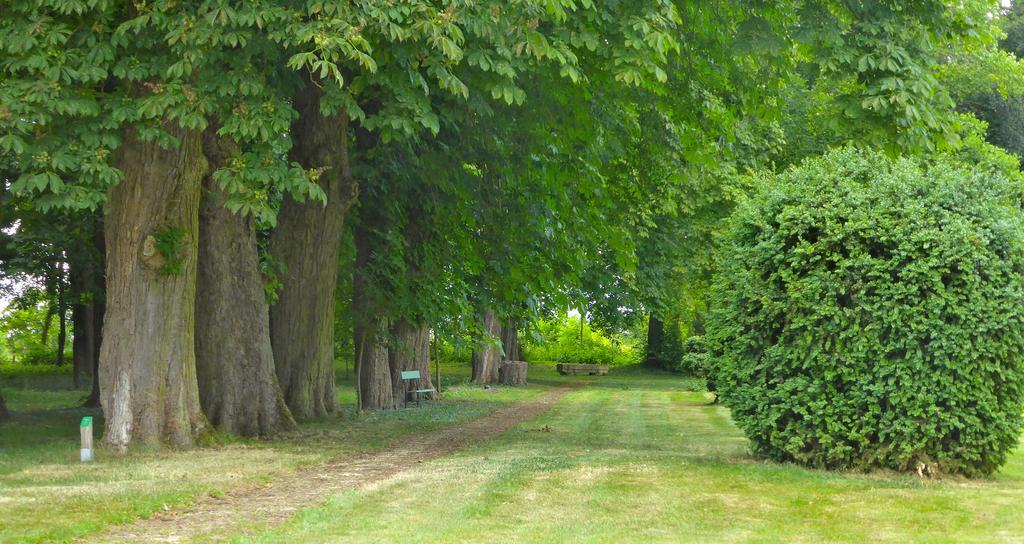 Maison d'hôtes Le Château de Puxe Extérieur photo