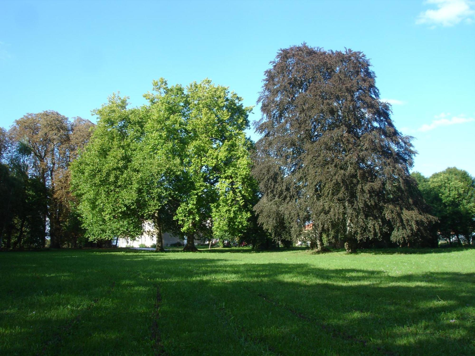 Maison d'hôtes Le Château de Puxe Extérieur photo